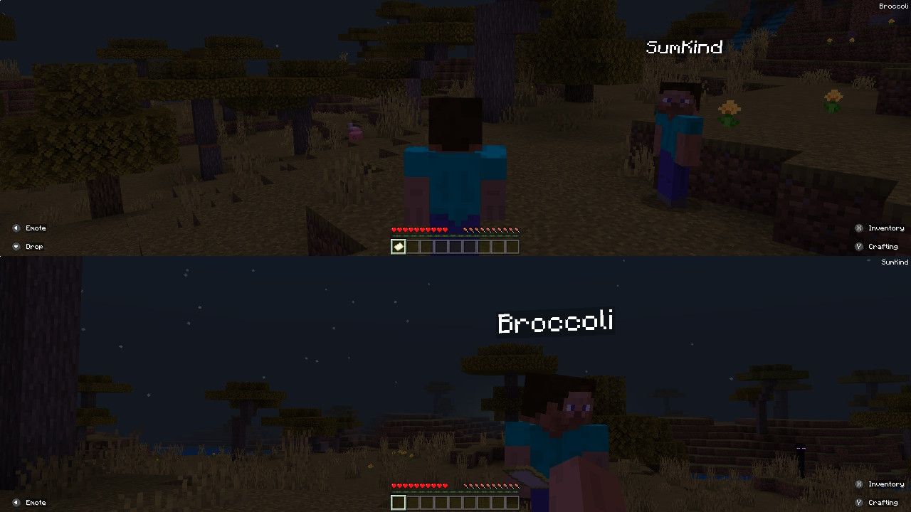 Split Screen Minecraft on Switch